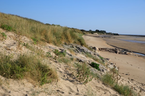 Réville, Manche