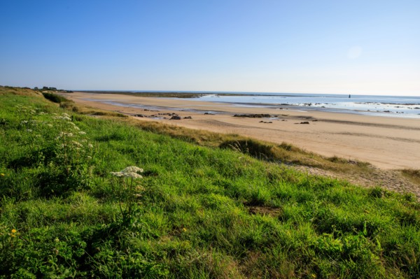Réville, Manche