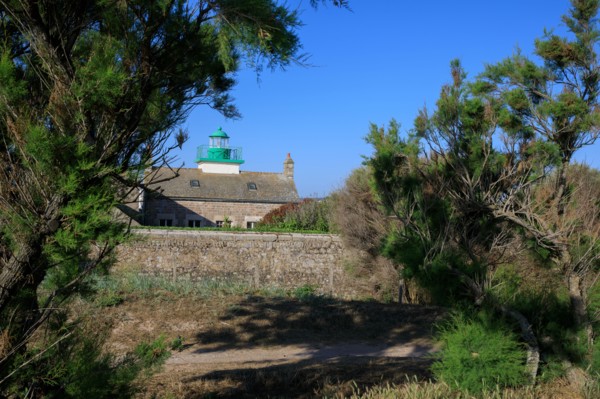 Réville, Manche
