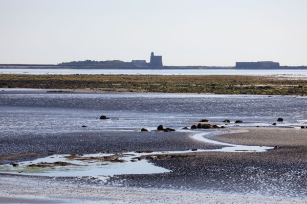 Saint-Vaast-la-Hougue, Manche