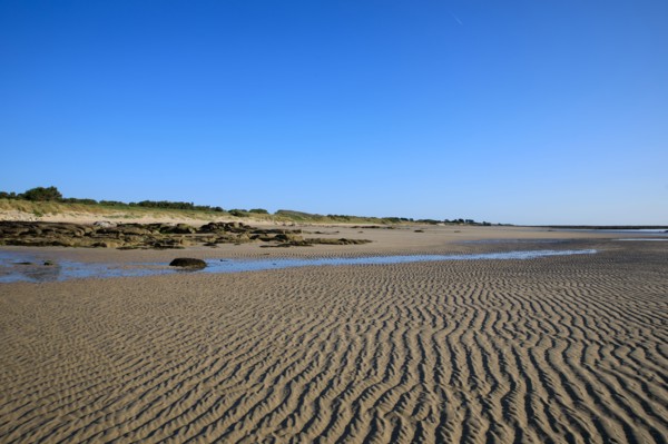 Réville, Manche department