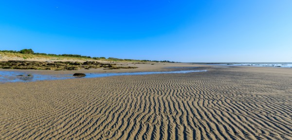 Réville, Manche department