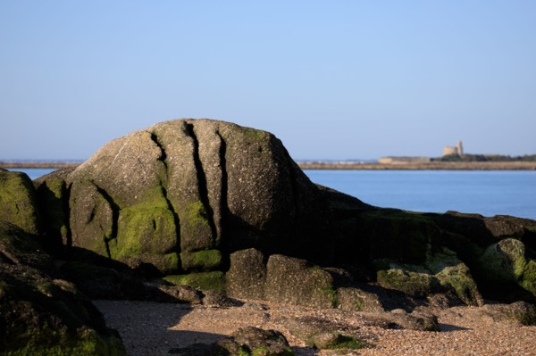 Réville, Manche department