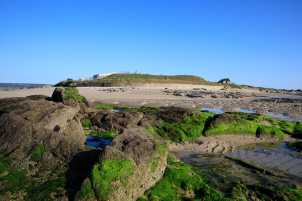 Réville, Manche department