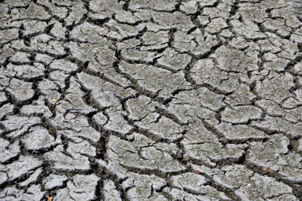 Terre sèche, Saint-Omer, Pas-de-Calais