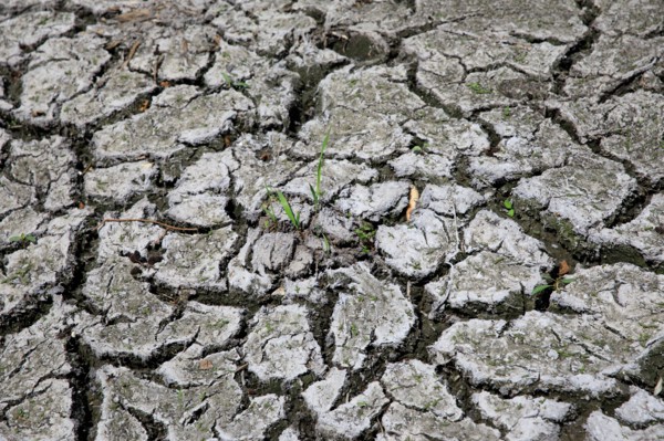 Terre sèche, Saint-Omer, Pas-de-Calais