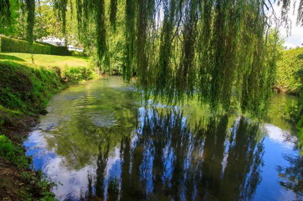 Pont-l'Evêque, Calvados
