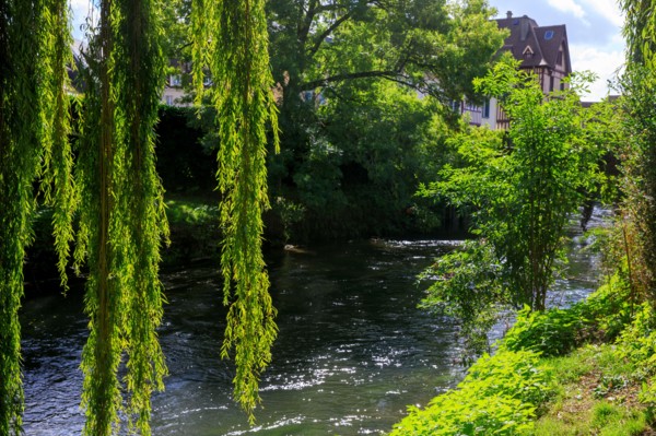 Pont-l'Evêque, Calvados