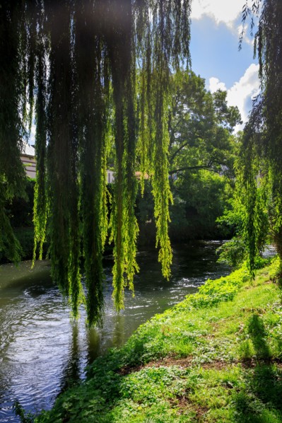 Pont-l'Evêque, Calvados