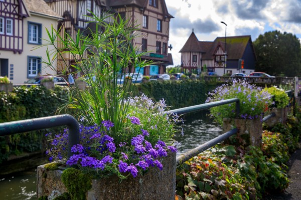 Pont-l'Evêque, Calvados