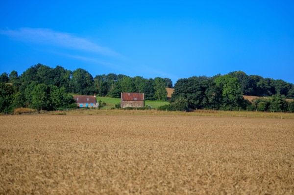 Saint-Rémy-sur-Orne, Calvados