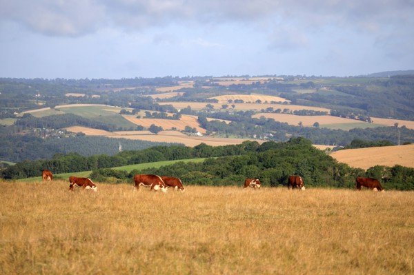 Saint-Omer, Calvados