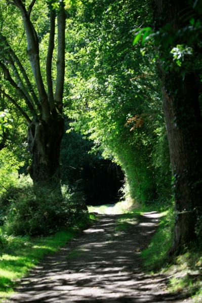 Clécy, Calvados
