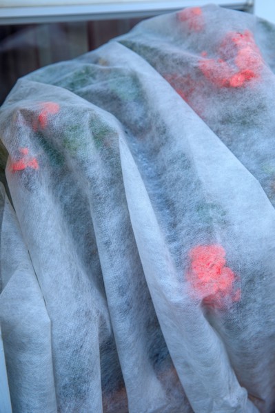 Voile d'hivernage