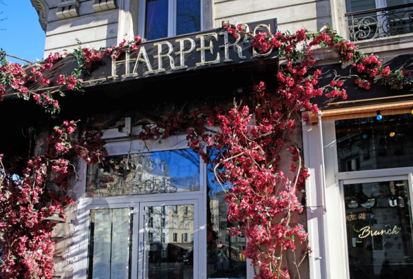 Paris, Harper's café