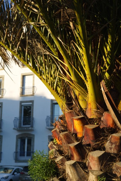 Concarneau, Brittany, France