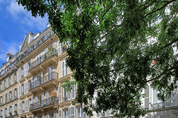 Rue Pavée, Paris