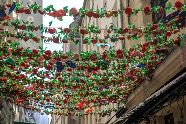Rue des Rosiers, Paris