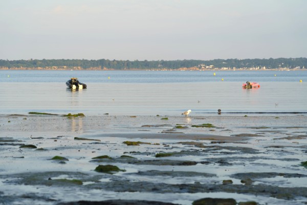 Concarneau, Finistère