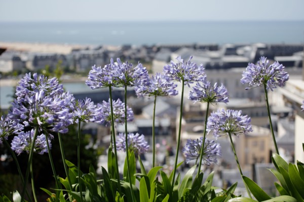 Trouville-sur-Mer, Calvados