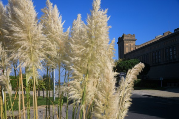 Cherbourg-en-Cotentin, Manche