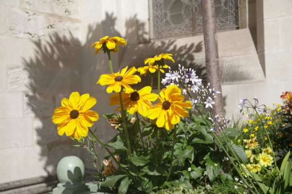 Fécamp, Normandy, France