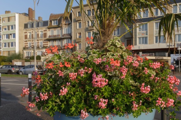 Dieppe, Seine-Maritime