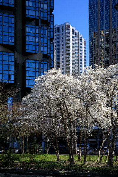 Paris, Beaugrenelle district
