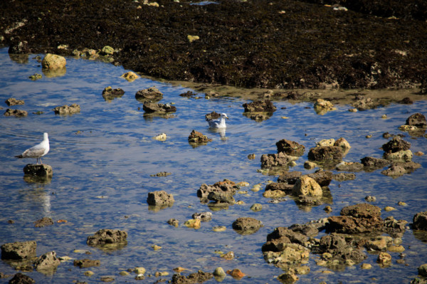 Yport, Seine-Maritime