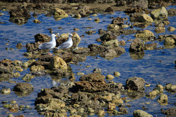 Yport, Seine-Maritime
