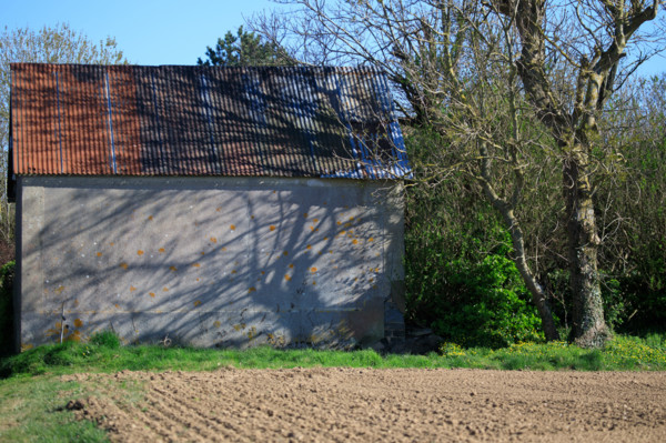 La Poterie-Cap d'Antifer, France