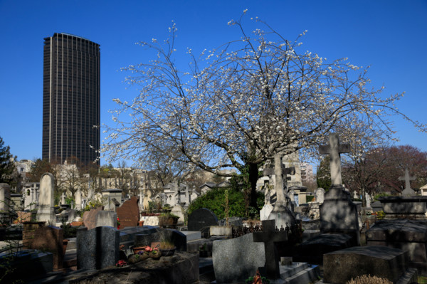Paris, the Montparnasse Cemetery