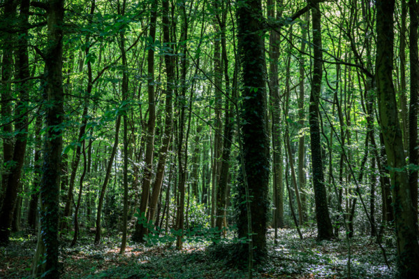 Flers, Orne, France