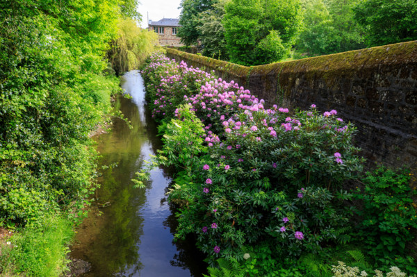 Flers, Orne