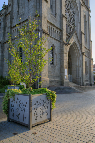 Flers, Orne