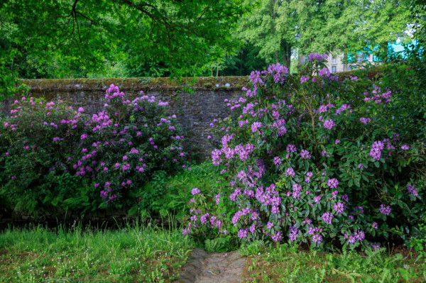 Flers, Orne