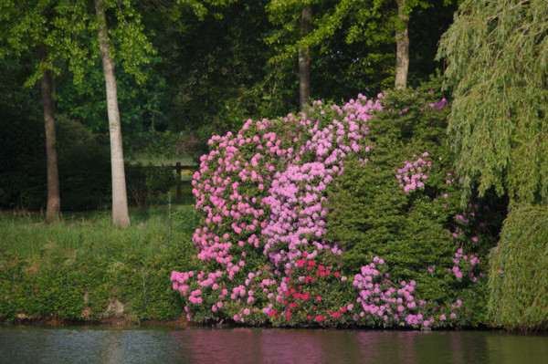 Flers, Orne