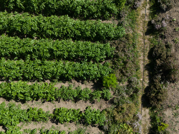Potager du France