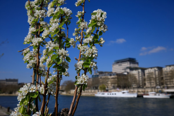 Paris, quai Saint-Bernard