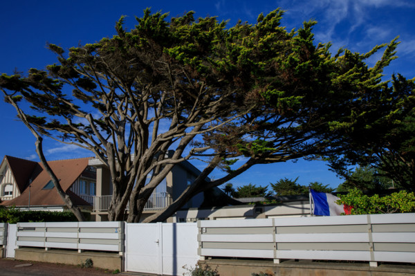 France, region Normandie, Manche, cotentin, Agon coutainville,  plage, rue dramad derriere la