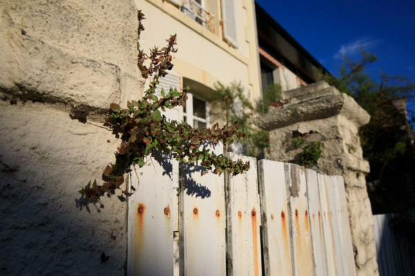 France, region Normandie, Manche, cotentin, Agon coutainville,  plage, rue dramad derriere la