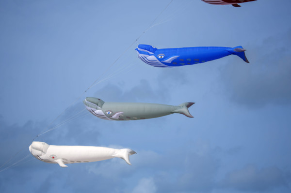 Dieppe, Dieppe International Kite Festival
