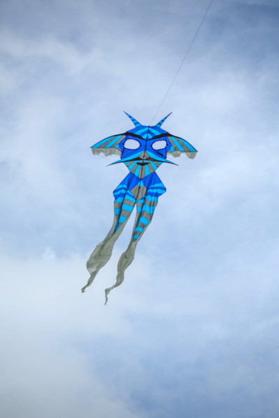 Dieppe, Dieppe International Kite Festival