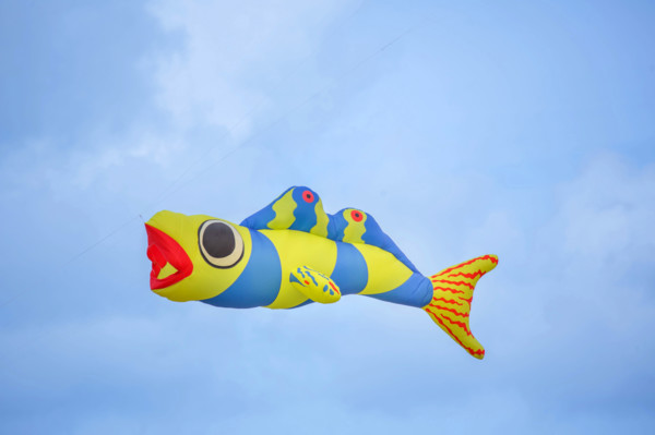 Dieppe, Dieppe International Kite Festival
