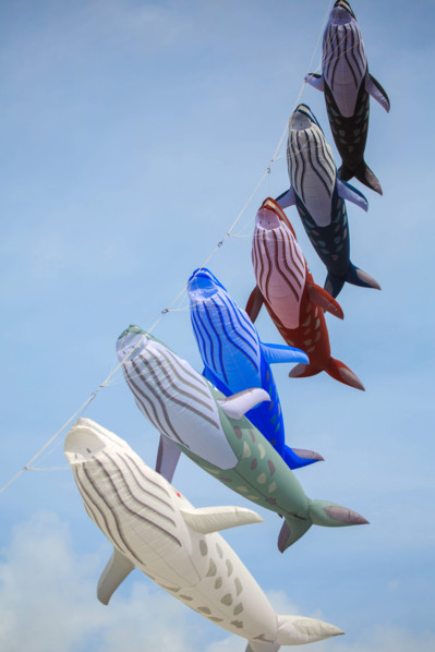Dieppe, Dieppe International Kite Festival