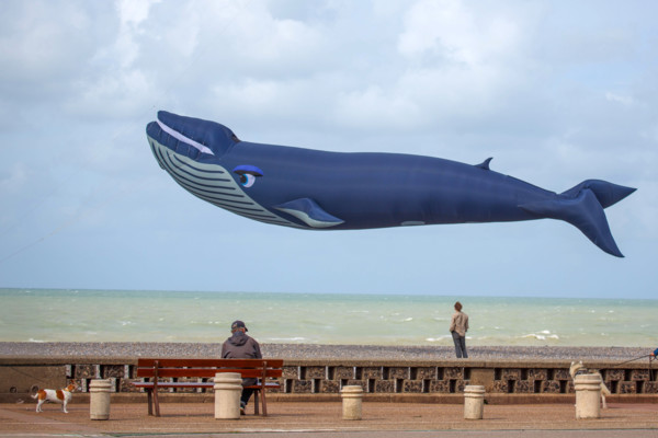 Dieppe, Dieppe International Kite Festival