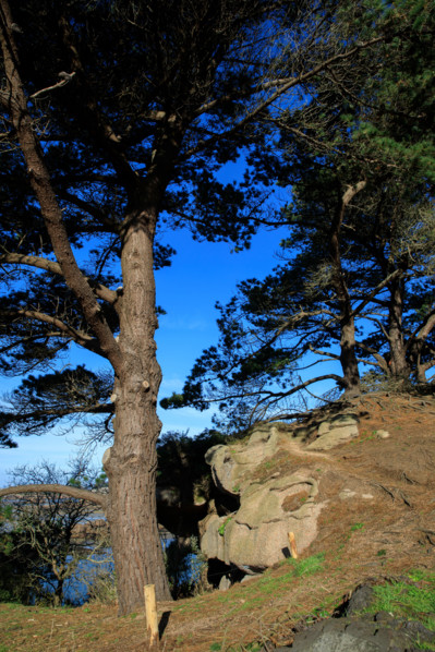 france, région Bretagne, Côtes d'Armor, côte de granit rose, Ploumanac'h, les rochers