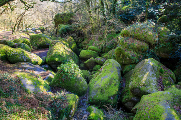 FRance, région Bretagne, Finistère, Huelgoat, les rochers, cahos de huelgoat,
