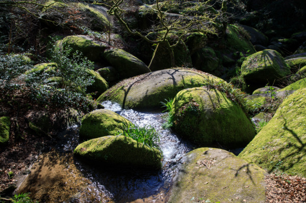 FRance, région Bretagne, Finistère, Huelgoat, les rochers, cahos de huelgoat,