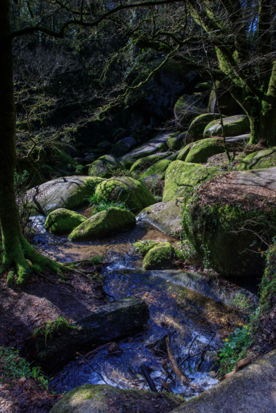 FRance, région Bretagne, Finistère, Huelgoat, les rochers, cahos de huelgoat,